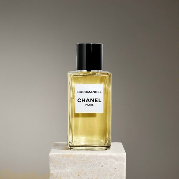 Chanel Coromandel - женская