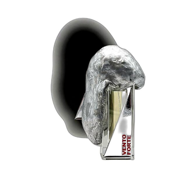 Filippo Sorcinelli Vento Forte Extrait - купить оригинал | Niche Parfum