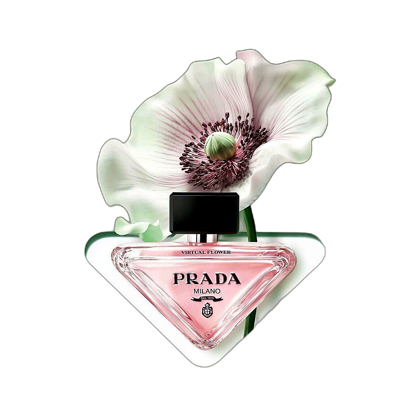Prada Paradoxe Virtual Flower - купить оригинал | Niche Parfum
