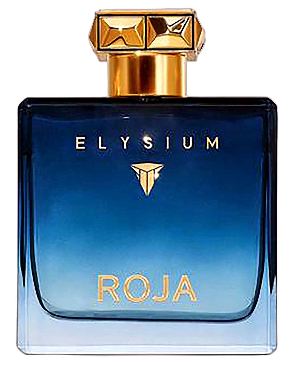 Roja Elysium Pour Homme - купить оригинал | Niche Parfum