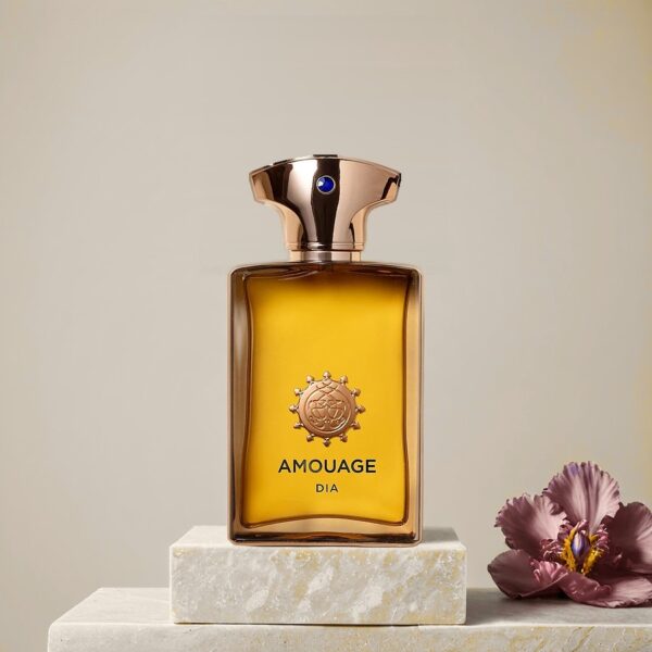 Amouage Dia - мужская
